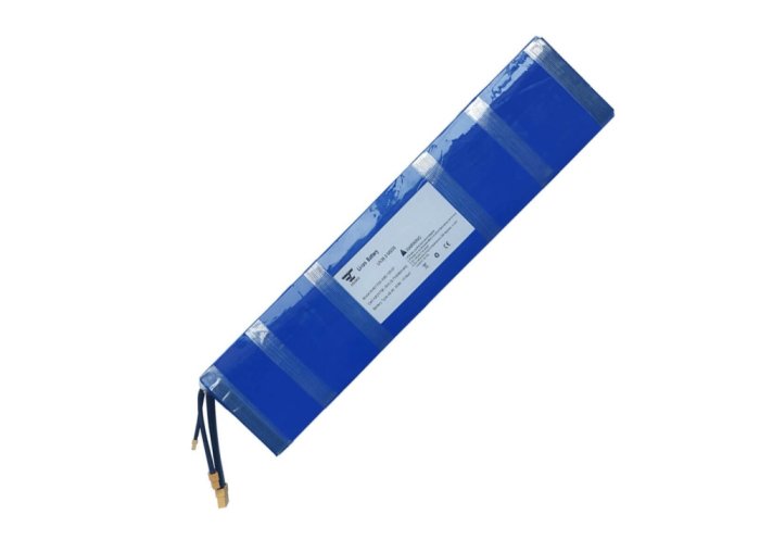 ENDEAVOR 12S5P Battery