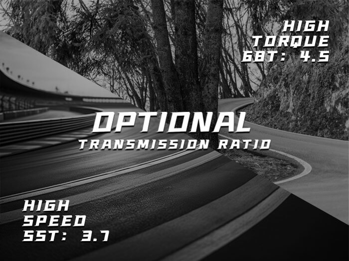 RUCKUS-Optional-Transmission-Ratio6-18 High speed/High torque gear options